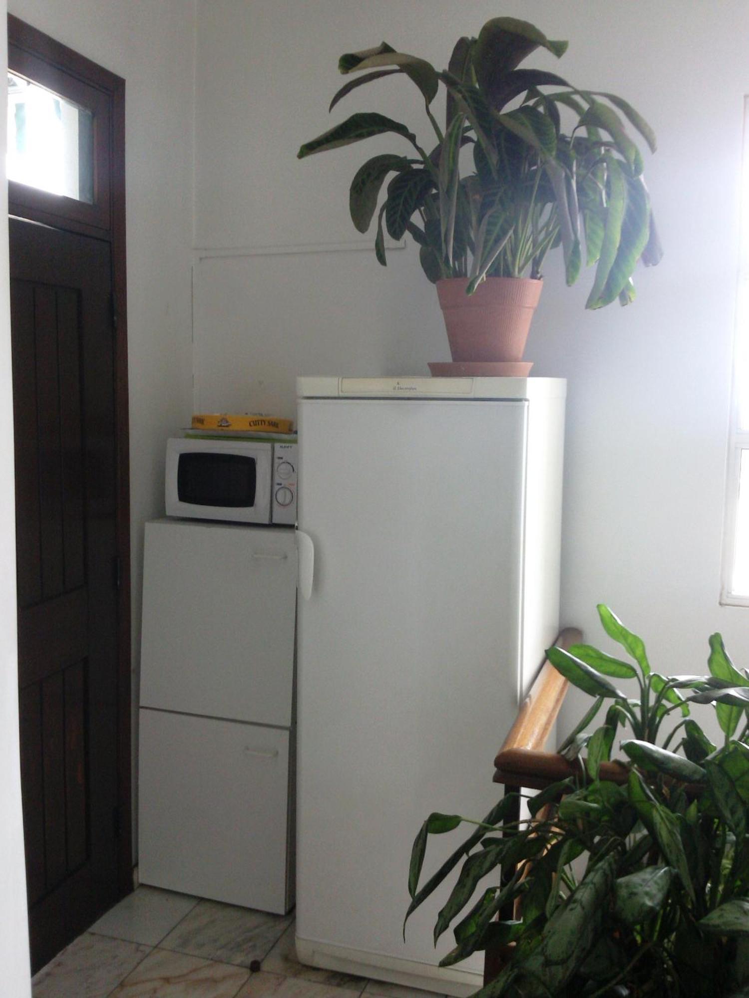 Pensao Residencial Vila Teresinha Фуншал Екстериор снимка
